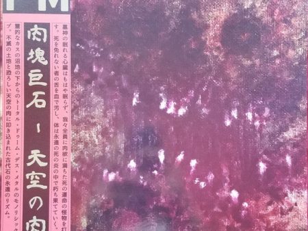 Flesh Megalith - Flesh Megalith (Red) (Used LP) Discount