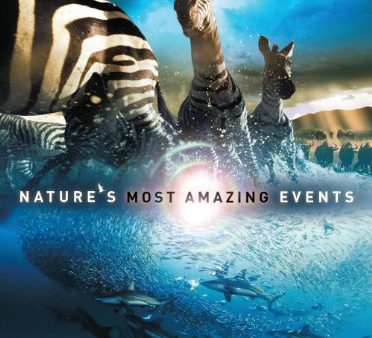 NATURE S MOST AMAZING EVENTS Cheap