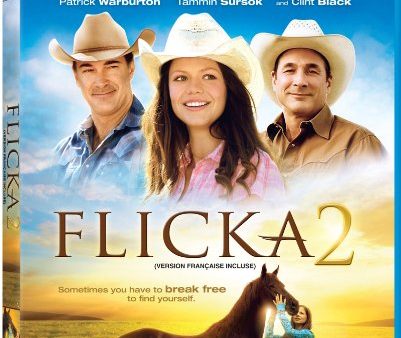 FLICKA 2  - BLU Discount